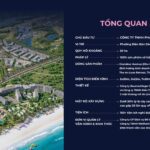 tong-quan-the-an-heritage-hoi-an