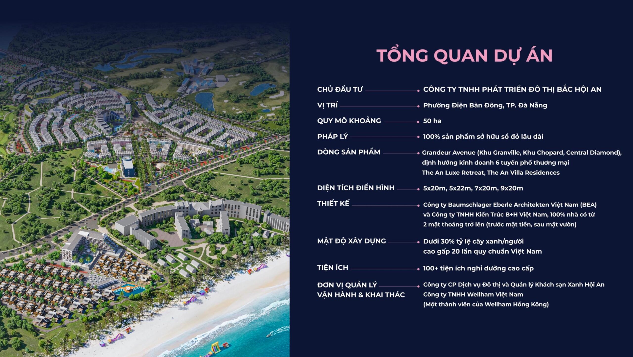 tong-quan-the-an-heritage-hoi-an
